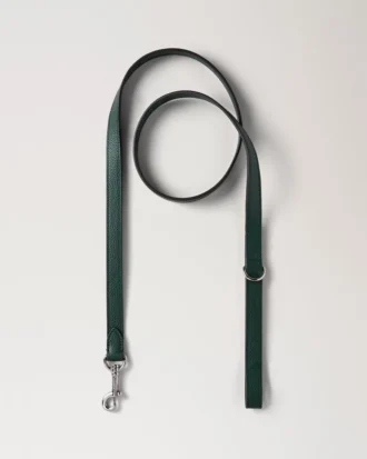 Handhållen hundkoppel Mulberry Green Small Classic Grain