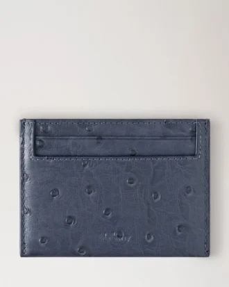 Kreditkortsfodral Stormy Blue Struts Damer