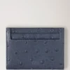 Kreditkortsfodral Stormy Blue Struts Damer Kreditkortsfodral Stormy Blue Struts Damer