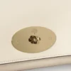 Lily Clutch Eggshell Buttery Nappa Women Lily Clutch Eggshell Buttery Nappa Women