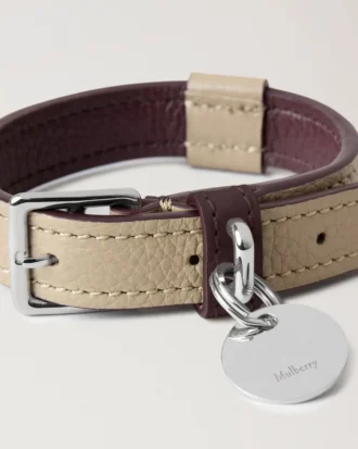 Litet hundhalsband i läder Dune & Oxblood Small Classic Grain