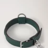 Litet hundhalsband i läder, Mulberry Green, klassiskt mönster Litet hundhalsband i läder, Mulberry Green, klassiskt mönster