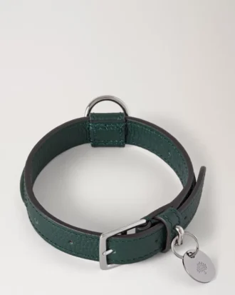 Litet hundhalsband i läder, Mulberry Green, klassiskt mönster