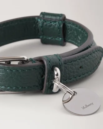 Litet hundhalsband i läder, Mulberry Green, klassiskt mönster