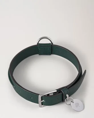 Medium hundhalsband i läder, Mulberry Green, små klassiska strukturer