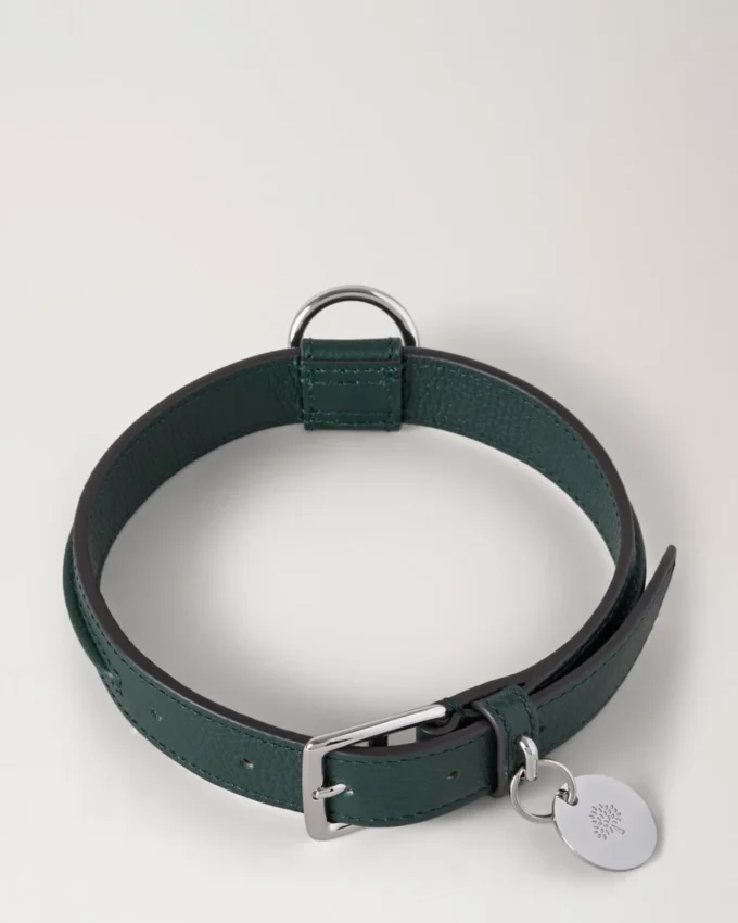 Medium hundhalsband i läder, Mulberry Green, små klassiska strukturer Medium hundhalsband i läder, Mulberry Green, små klassiska strukturer