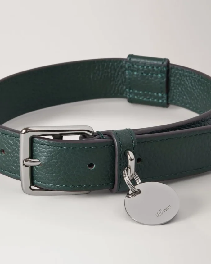 Medium hundhalsband i läder, Mulberry Green, små klassiska strukturer Medium hundhalsband i läder, Mulberry Green, små klassiska strukturer