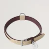Stort hundhalsband i läder Dune & Oxblood Small Classic Grain Stort hundhalsband i läder Dune & Oxblood Small Classic Grain