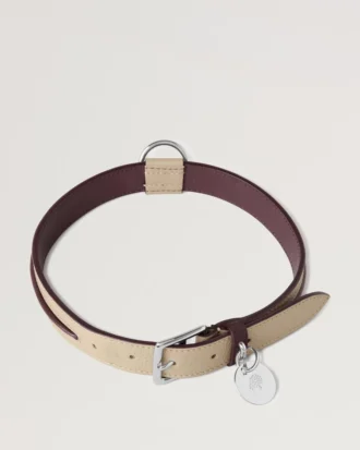 Stort hundhalsband i läder Dune & Oxblood Small Classic Grain
