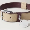 Stort hundhalsband i läder Dune & Oxblood Small Classic Grain Stort hundhalsband i läder Dune & Oxblood Small Classic Grain