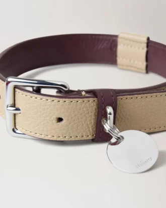 Stort hundhalsband i läder Dune & Oxblood Small Classic Grain
