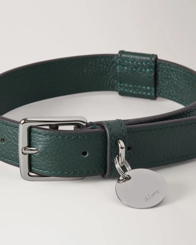 Stort hundhalsband i läder, Mulberry Green, små klassiska märken Stort hundhalsband i läder, Mulberry Green, små klassiska märken