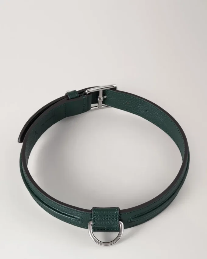 Stort hundhalsband i läder, Mulberry Green, små klassiska märken Stort hundhalsband i läder, Mulberry Green, små klassiska märken