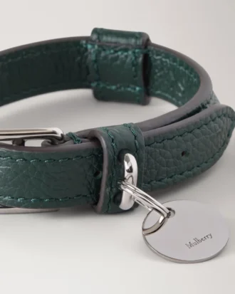 Xs läderhalsband i Mulberry Green, små klassiska mönster